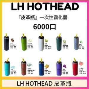 LH HOTHEAD皮革瓶電子煙可充電6000口一次性
