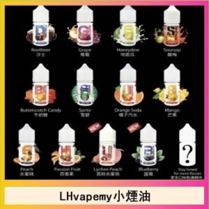 LHvapemy馬來西亞主機小煙油30ml