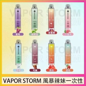 VAPOR STORM風暴辣妹一次性主機充電7500口（5%）