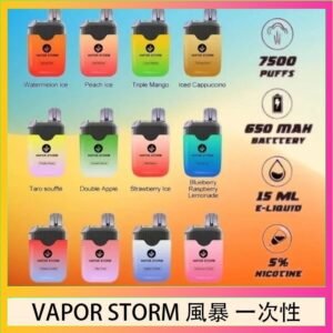 Vapor Storm風暴電子煙7500口（5%）一次性